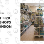 best-bird-pet-shops-london