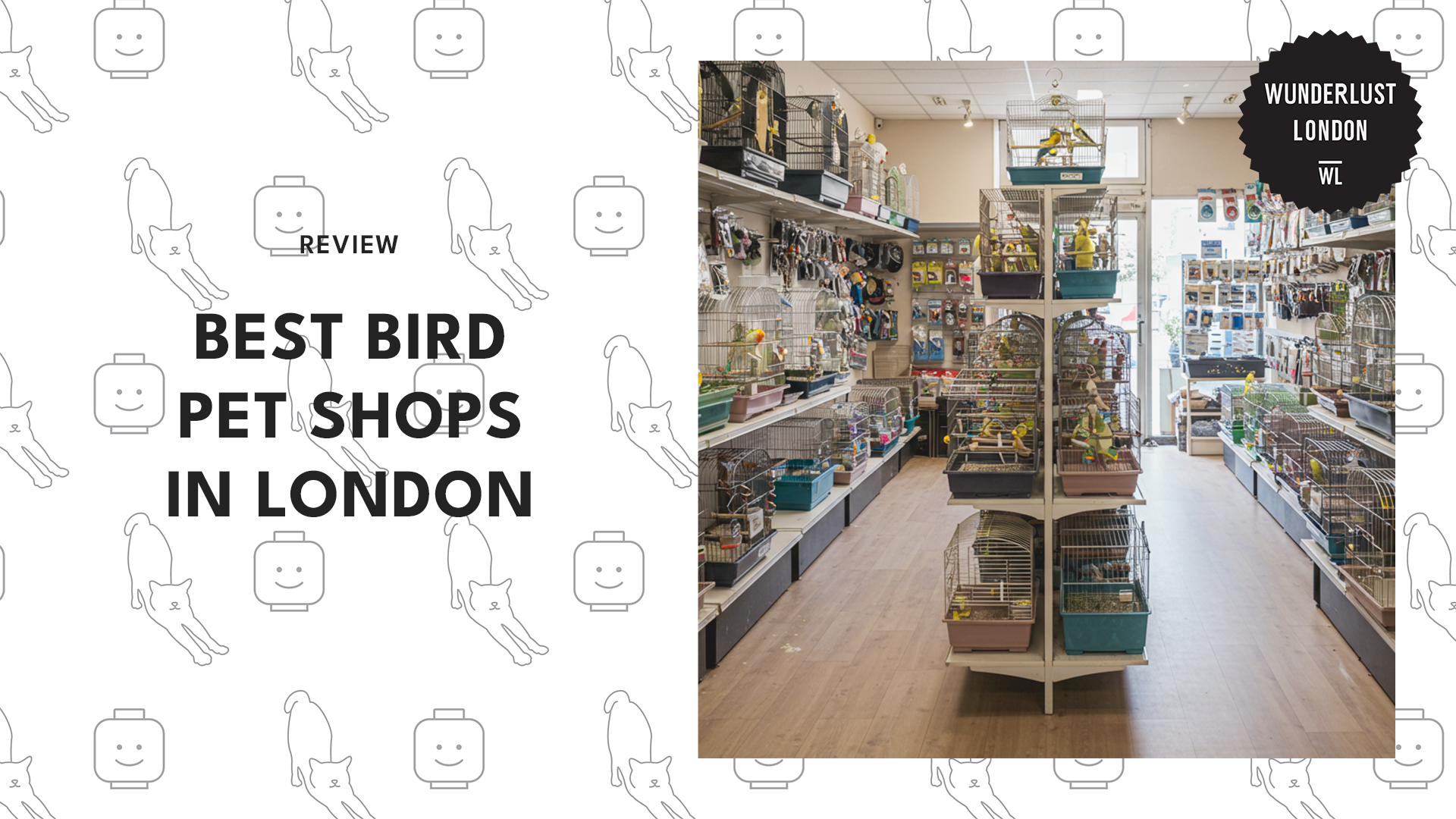 best-bird-pet-shops-london