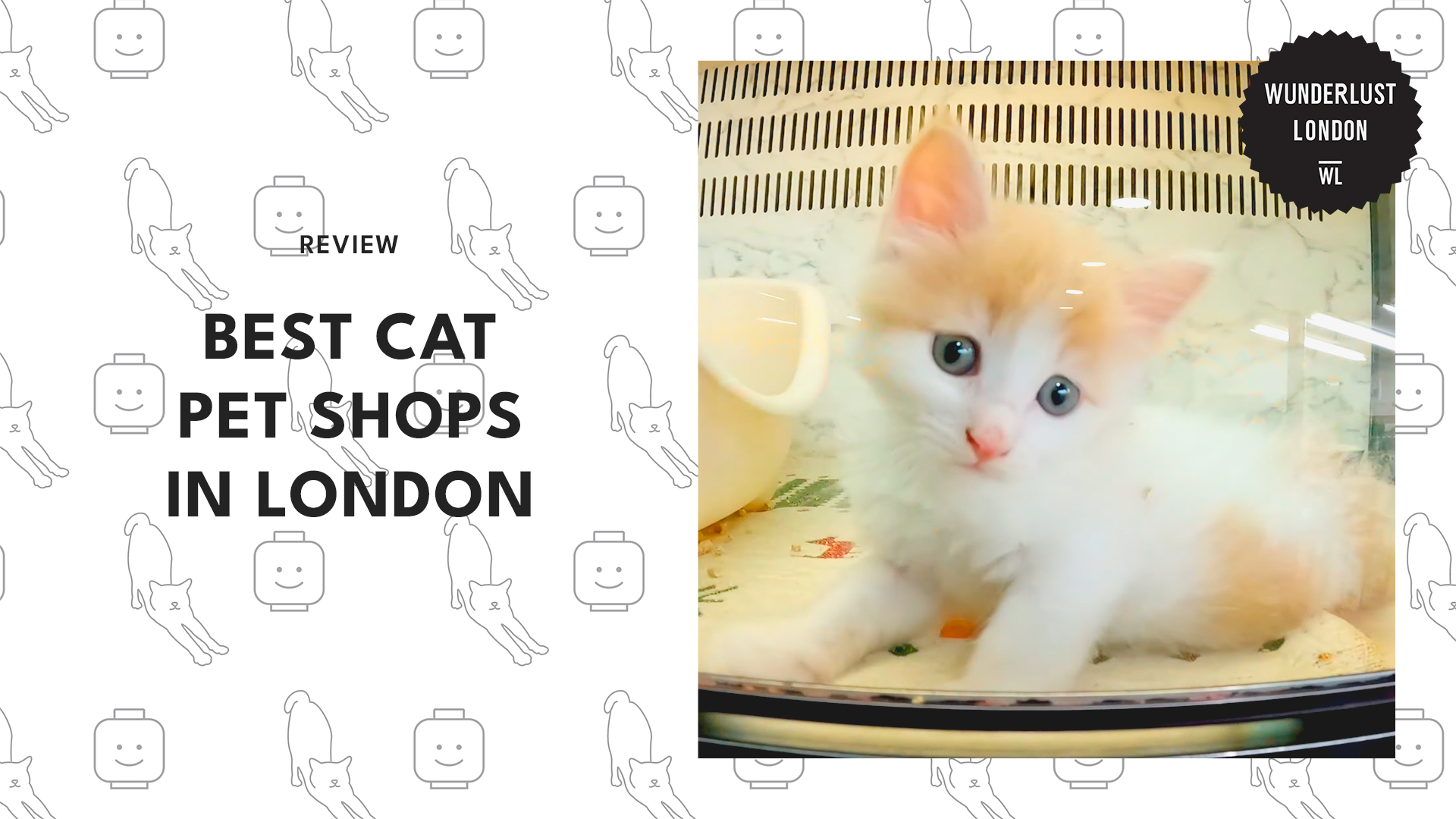 best-cat-pet-shops-london