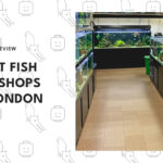 best-fish-pet-shops-london