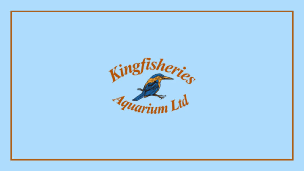 kingfisheries-aquarium