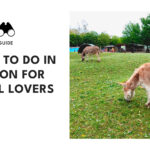 things-to-do-animal-lovers-london