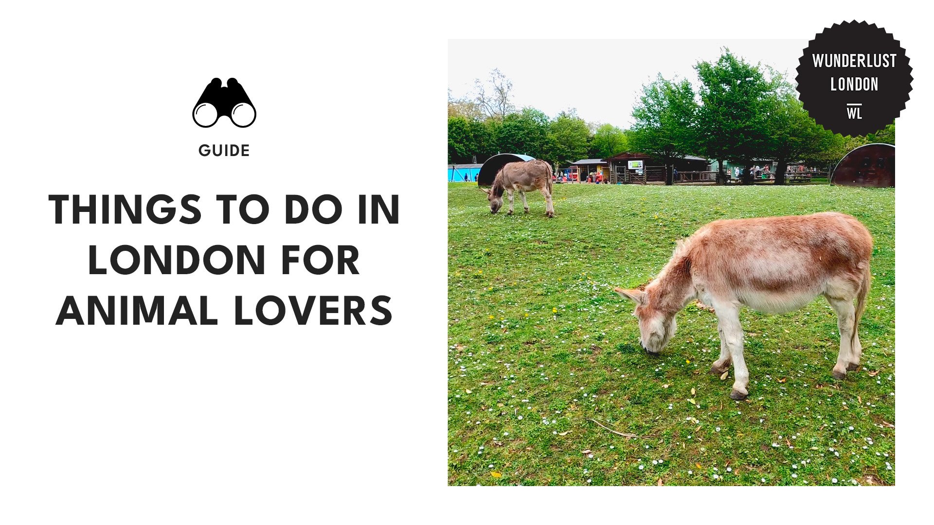 things-to-do-animal-lovers-london