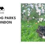 top-dog-parks-london