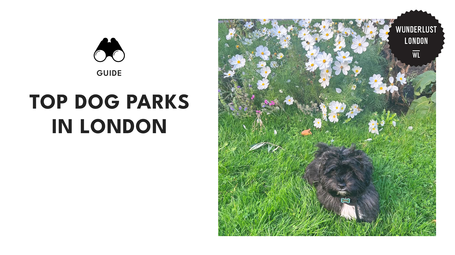 top-dog-parks-london